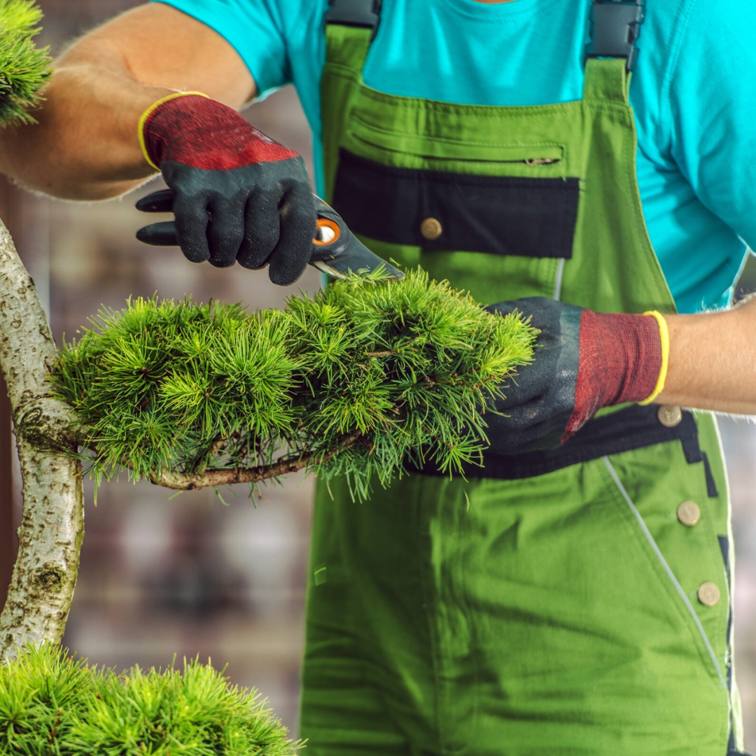 Prestação de Mão de Obra – Jardineiro (40h Semanais)