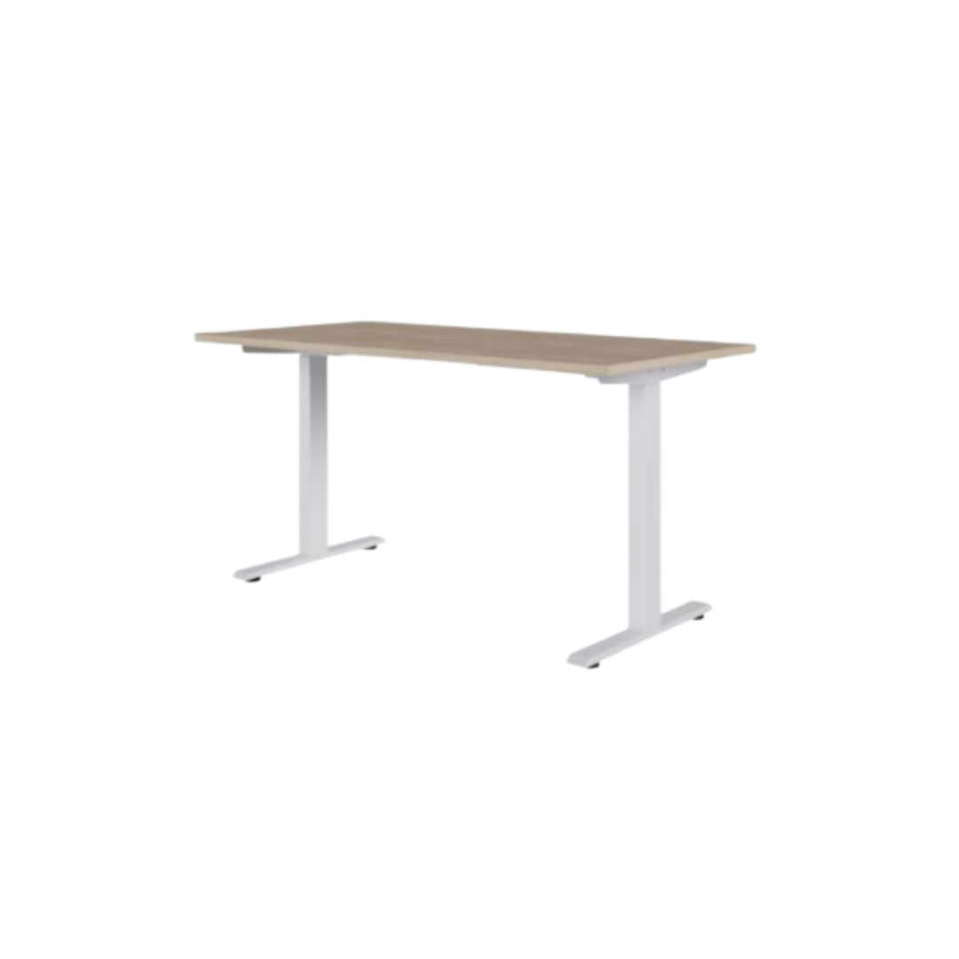 Mesa Retangular Com Regulagem De Altura Elétrica 1000x800x660/1300mm