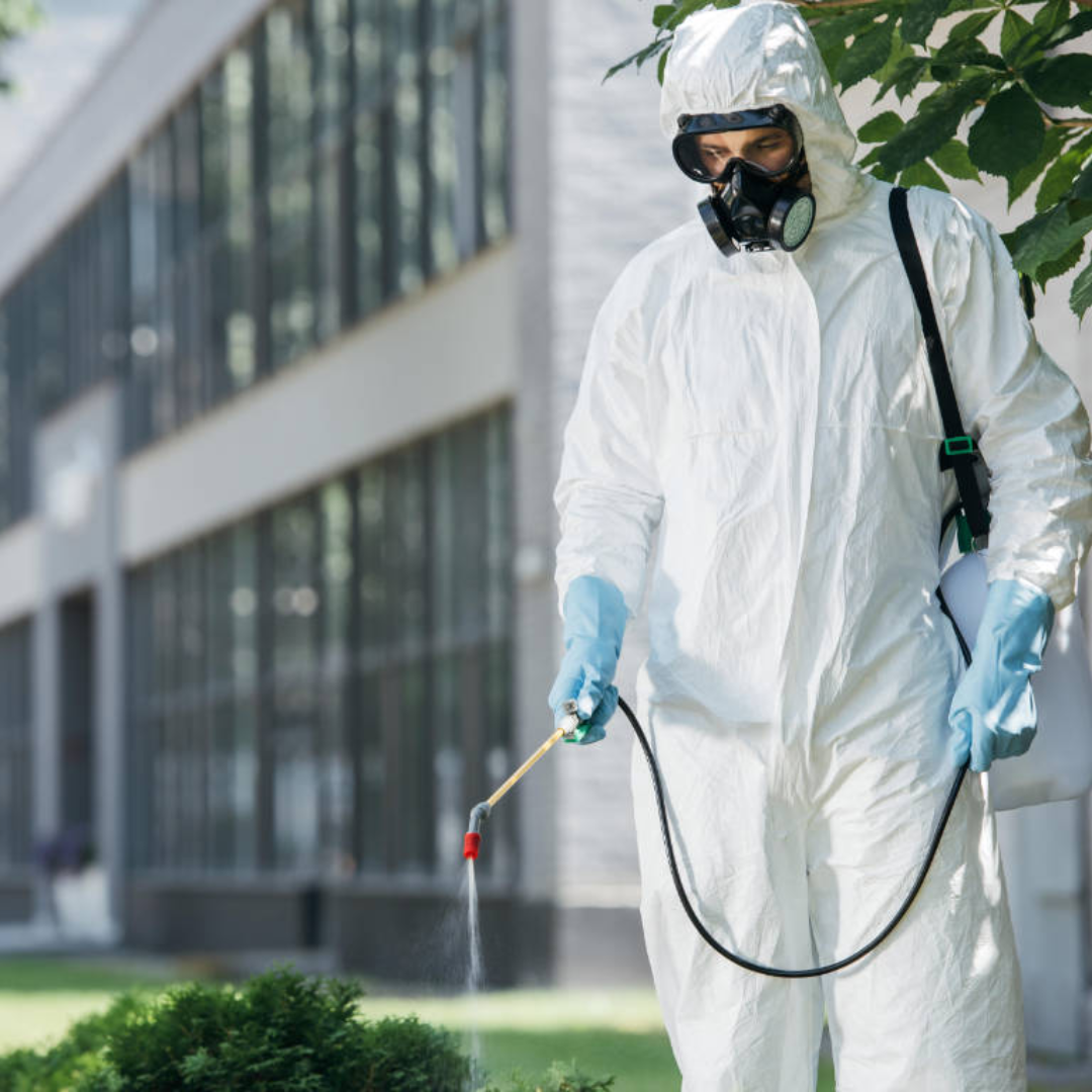 Serviços de Controle de Pragas e Vetores Urbanos – Dedetização, Desinsetização, Desratização e Descupinização